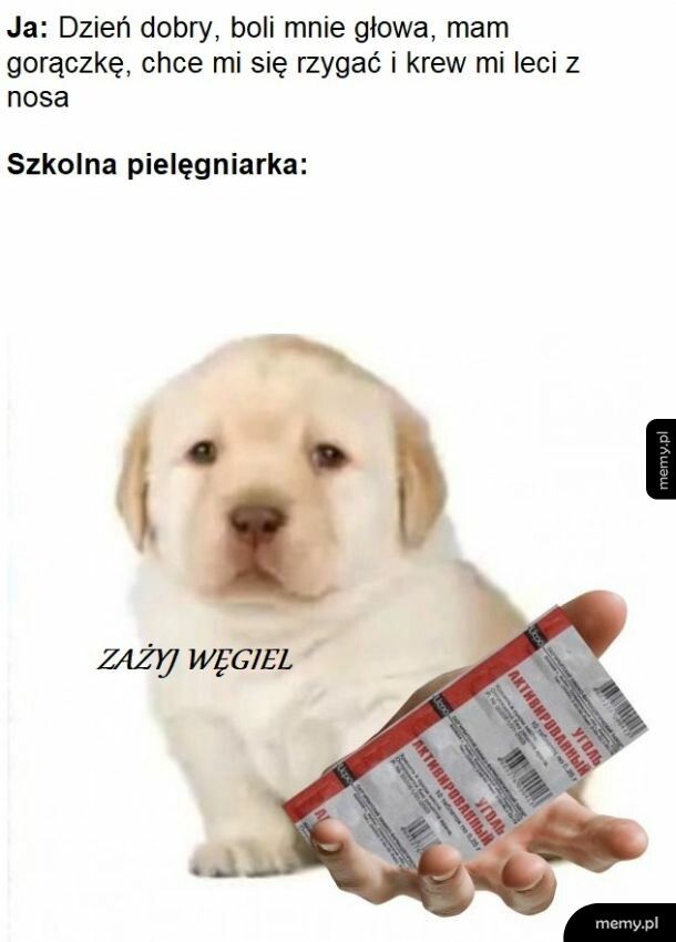 Remedium na wszystko, do czasu aż cię rodzice odbiorą