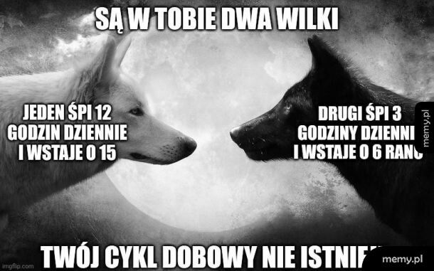 Studenci zrozumieją