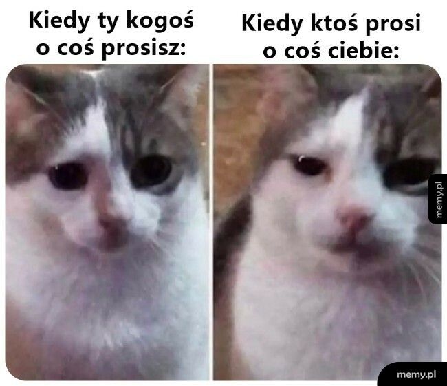 Prośba o pomoc