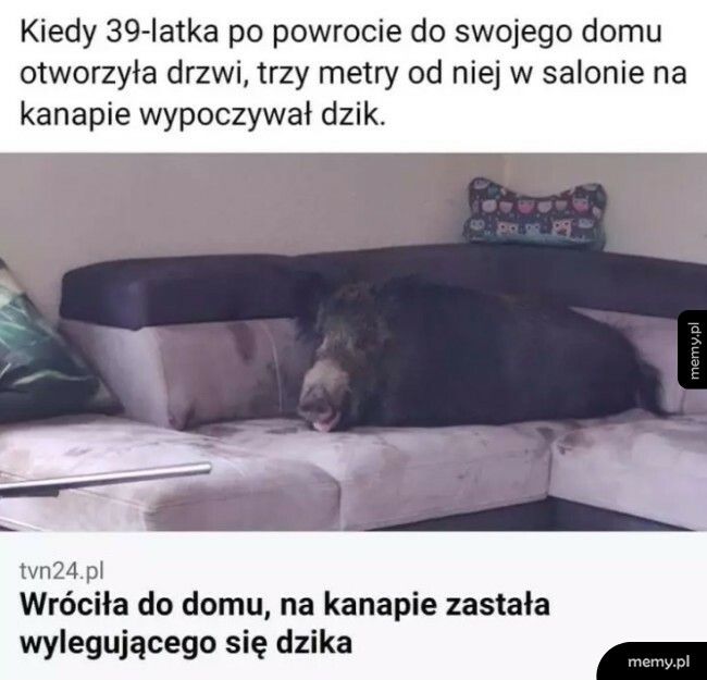 No dzień dobry