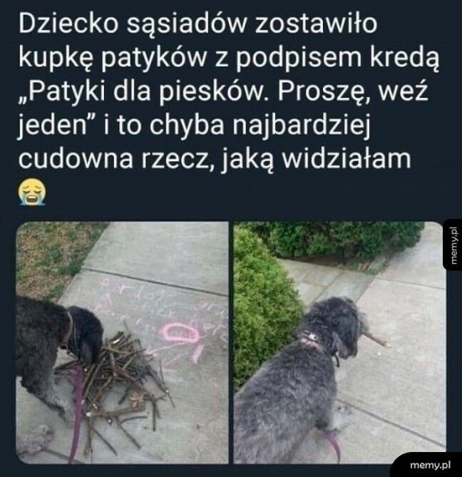 Na pewno nie pogardzą