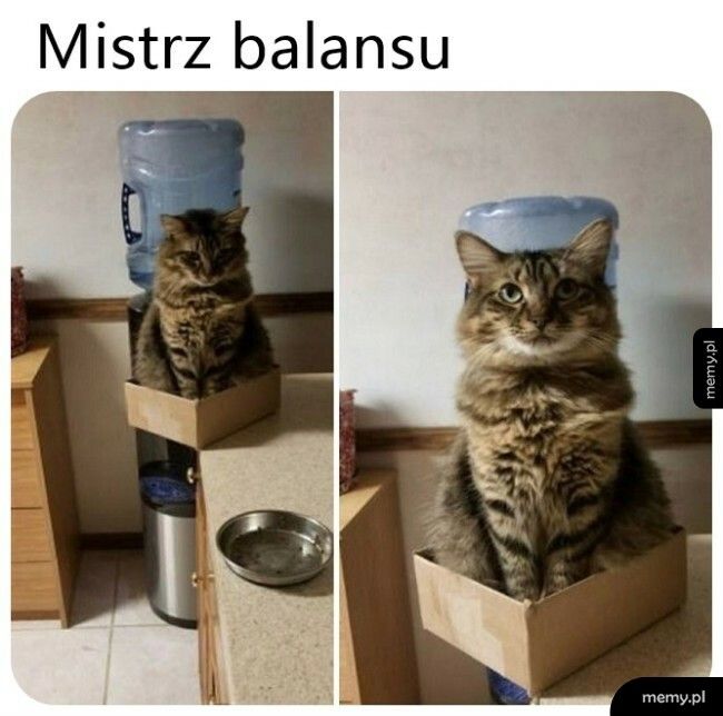 Mistrz balansu