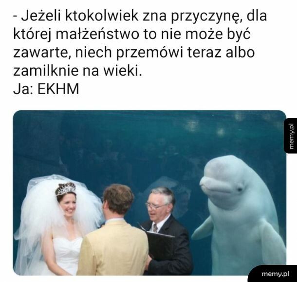 Chyba ma coś do powiedzenia