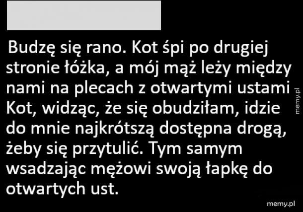 Smacznej łapki