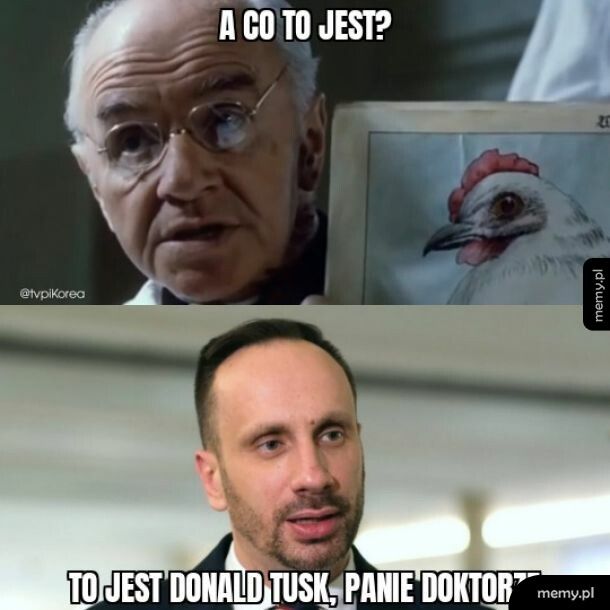 CK Janusz w Radiu Zet