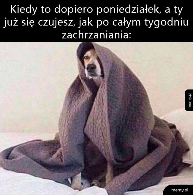 A to dopiero początek tygodnia