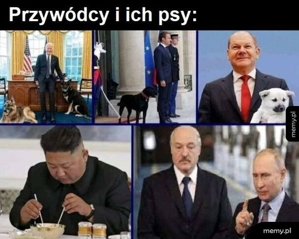 Przywódcy i ich psy