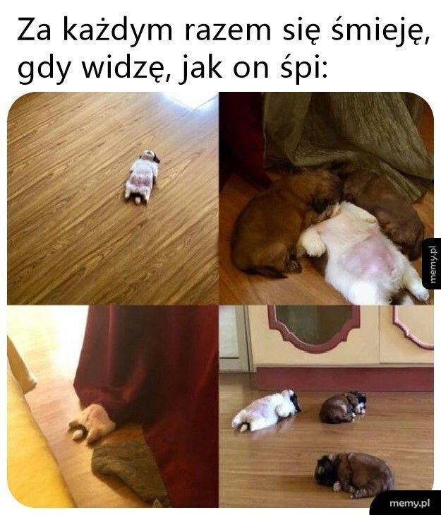 Słodziak