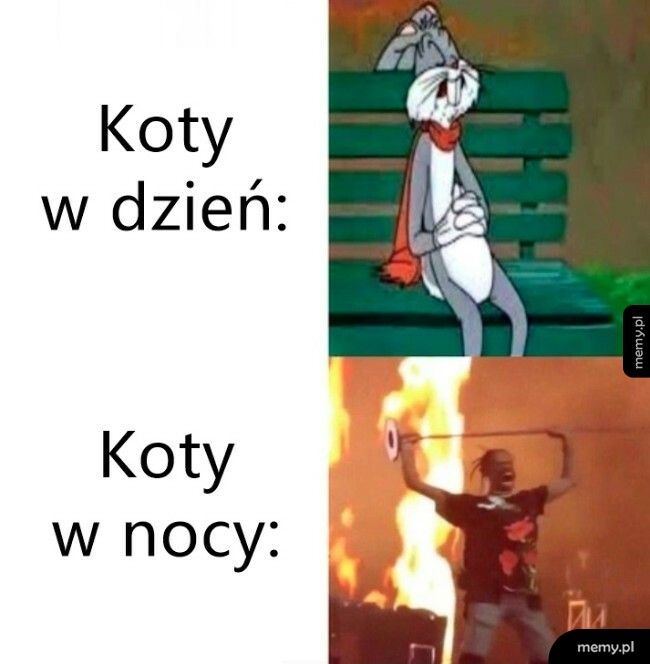 Przebudzenie mocy