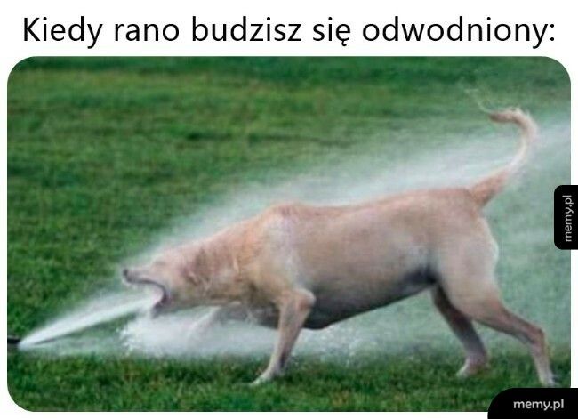 Wody, więcej wody