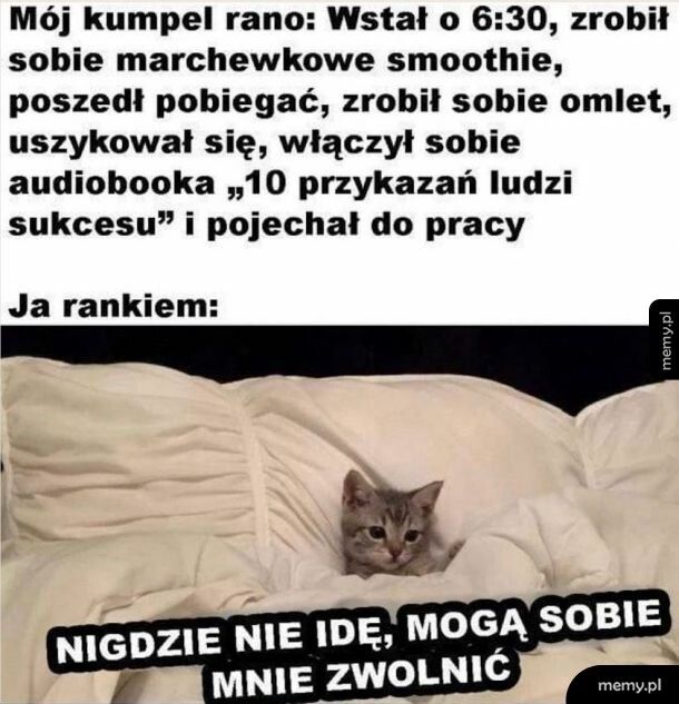 No przecież nie mogę osamotnić łóżka