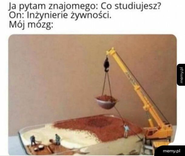 Żywność