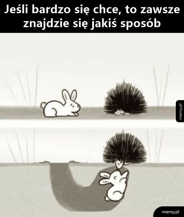 Zawsze znajdzie się sposób