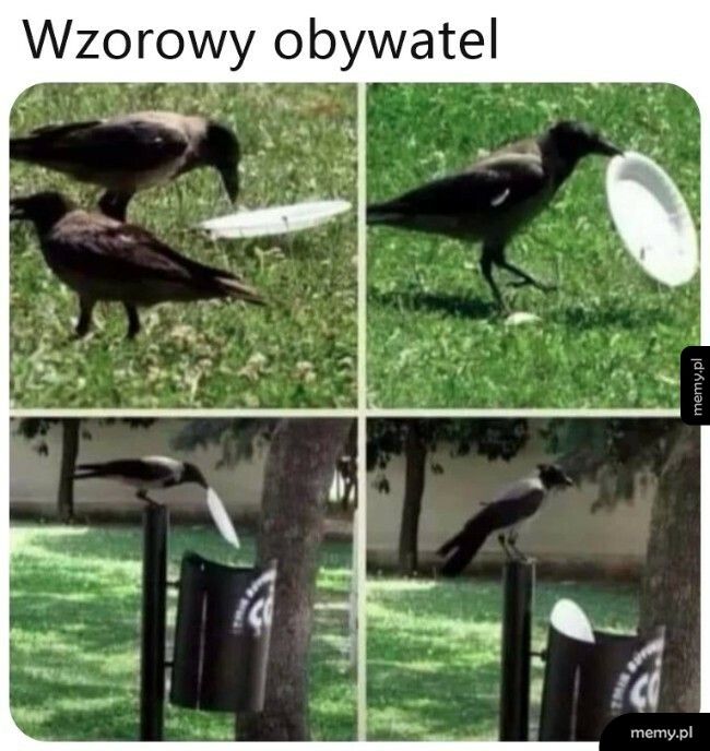 Wzorowy obywatel