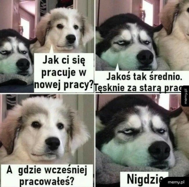 Tęsknota za starą pracą