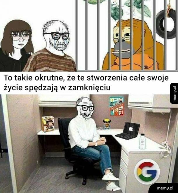 Okrucieństwo