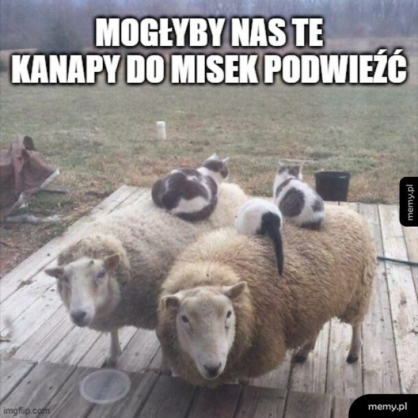 Ciepło, miękko