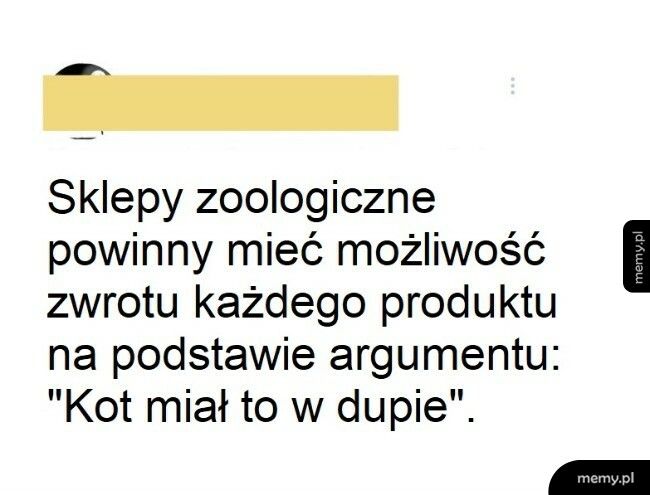 Zwrot produktu dla kociarzy