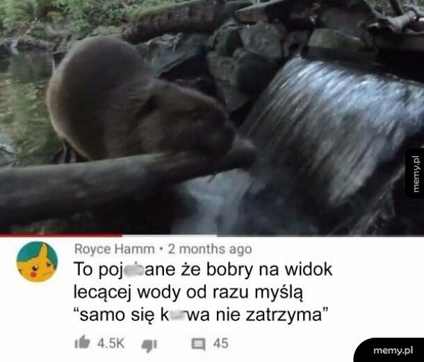 Bobry