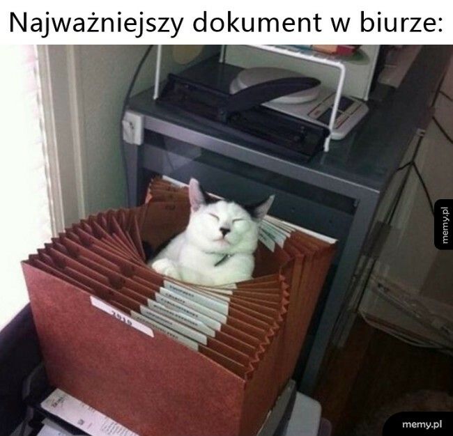 Najważniejszy dokument