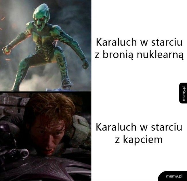 Karaluchy