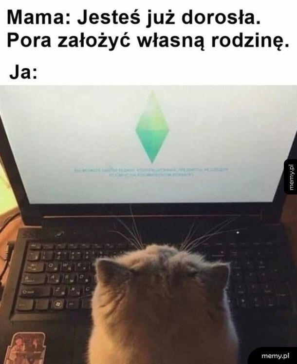 Założenie rodziny