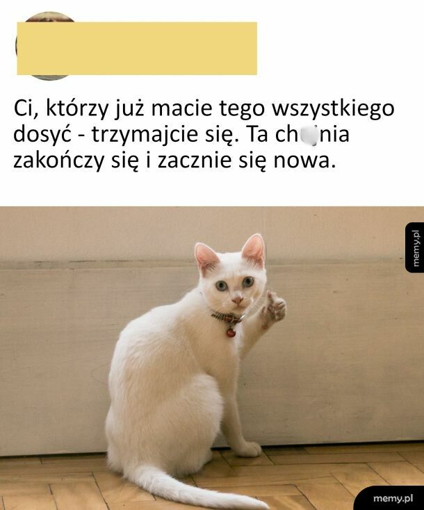 Trzymajcie się