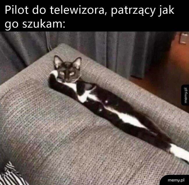 Pilot do telewizora