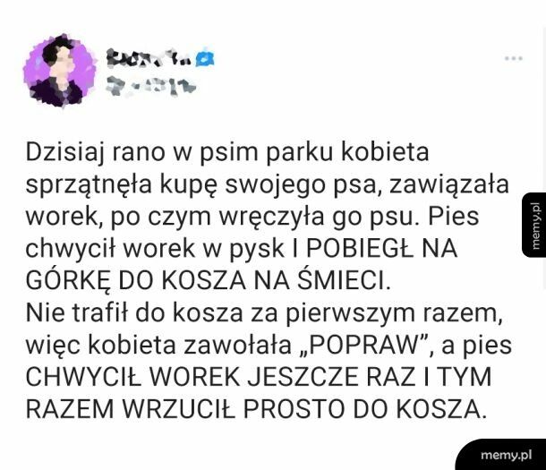 Mądrzejszy od ludzi