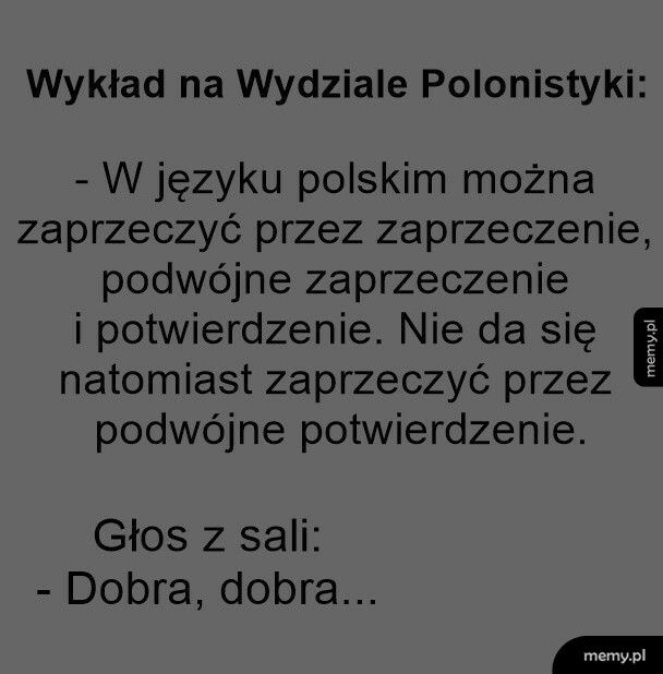 Zaprzeczenia w języku polskim