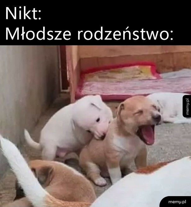 Młodsze rodzeństwo