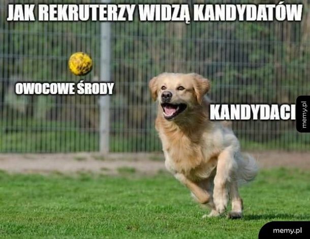 Rekruterzy