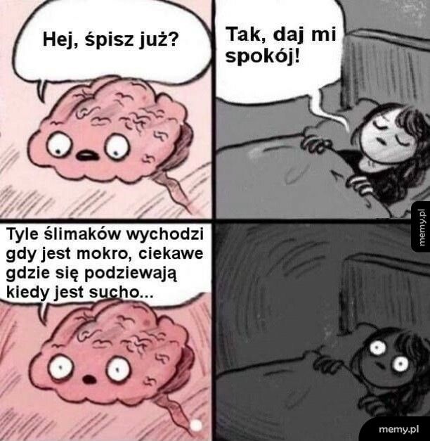 Nocne przemyślenia