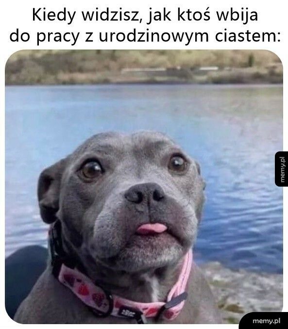 Pyszności