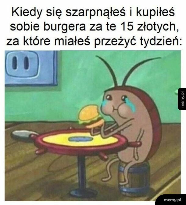 Żałuję