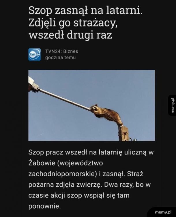 Przeszkadzali mu w spanku