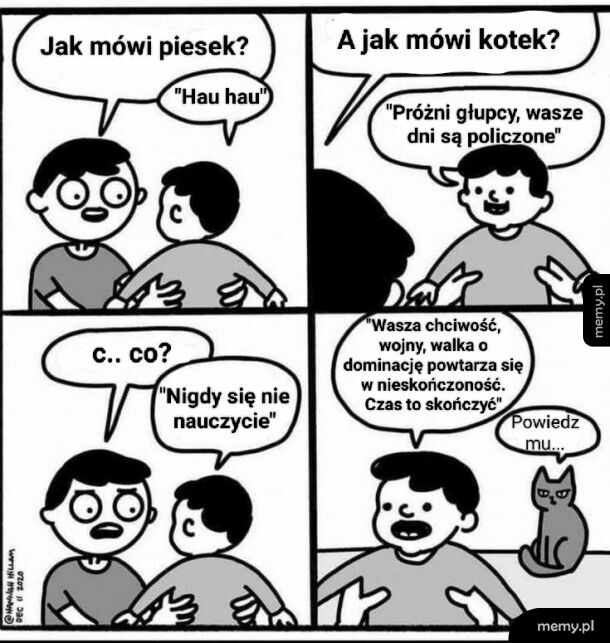 Jak robi kotek