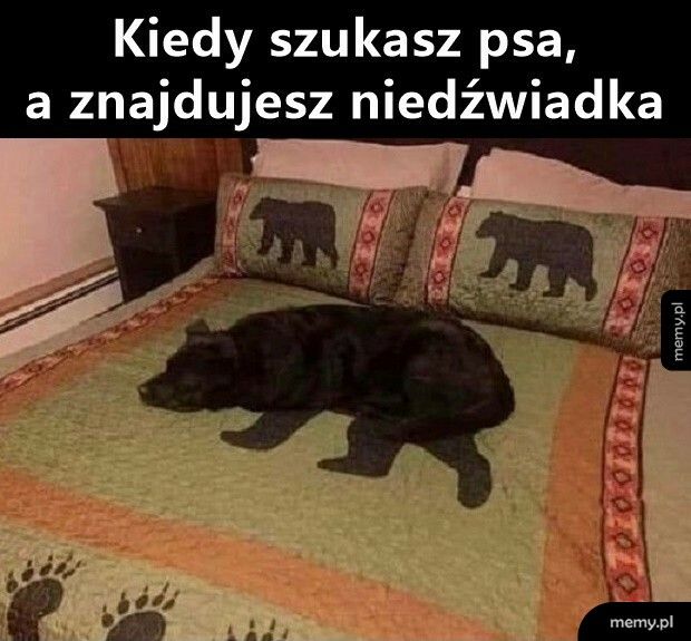 Też może być