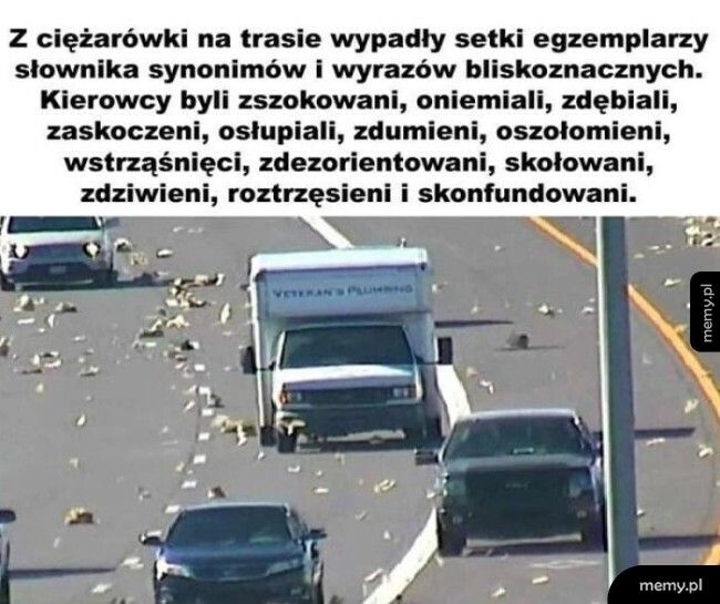 Słowniki na drodze