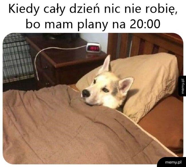 Nie opłaca się nic zaczynać