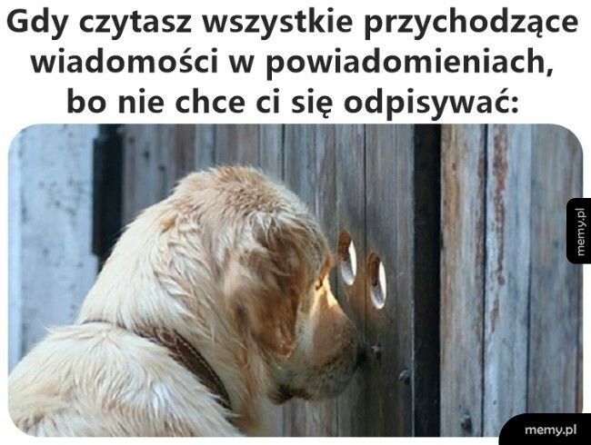 Wiadomości