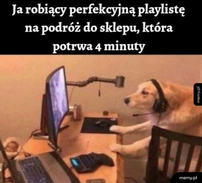 Perfekcyjna playlista