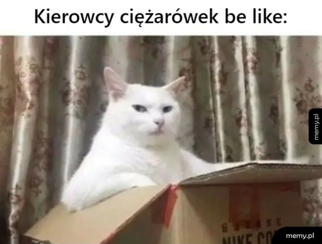 Kierowcy ciężarówek