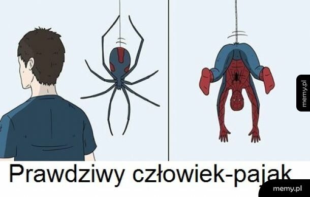 Człowiek pająk
