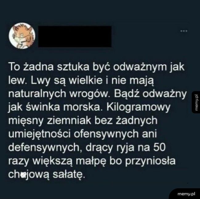 Być odważnym jak lew