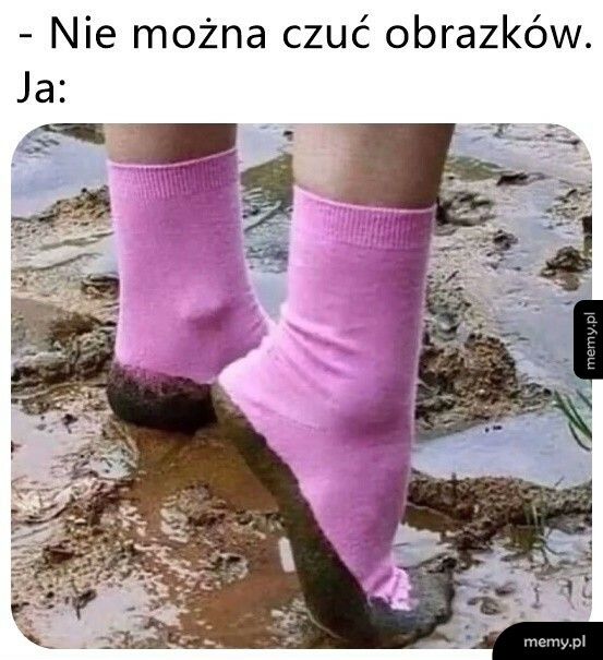 Niektóre można