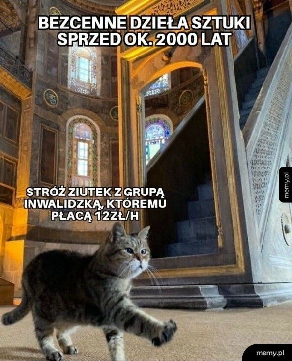 Stróż