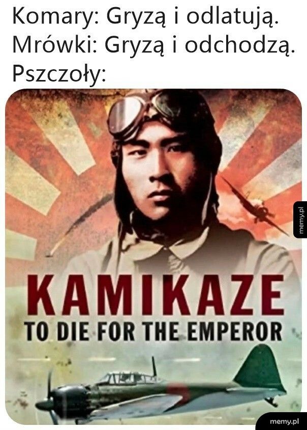 Pszczoły