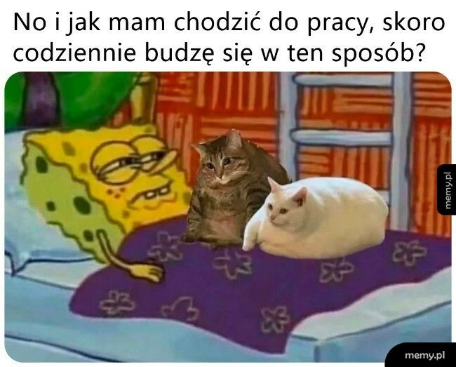 Jak wstanę to będzie im smutno