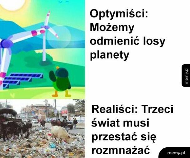 Optymiści vs Realiści